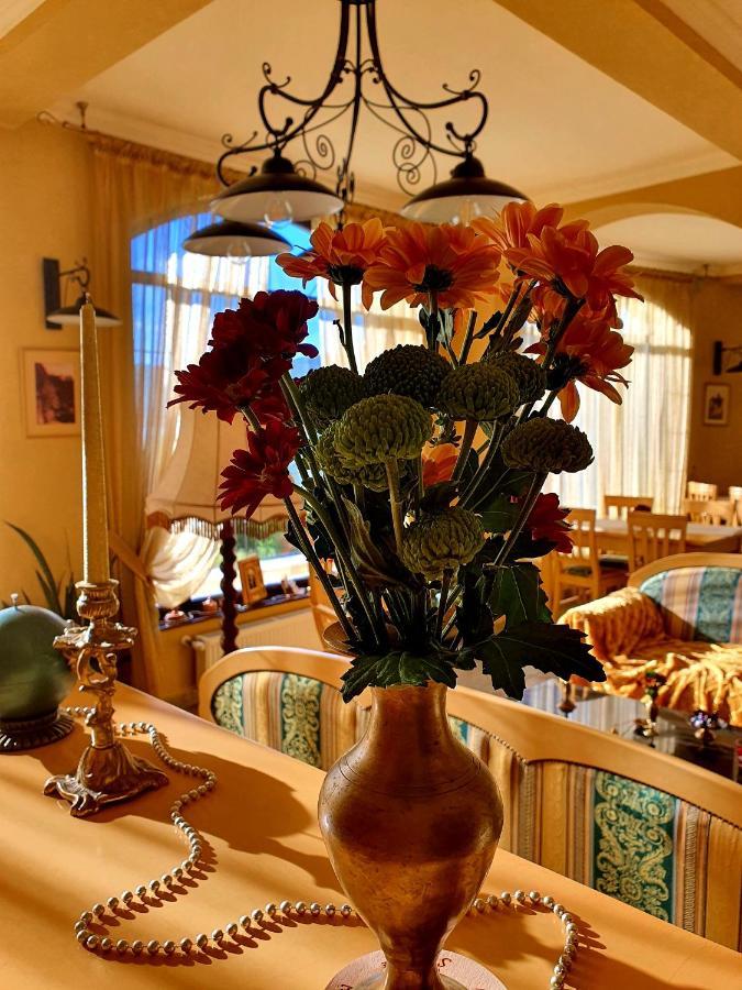 Pensiunea Casa Mircea & Restaurant เอเชลนิทซา ภายนอก รูปภาพ