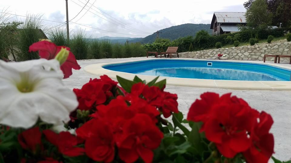 Pensiunea Casa Mircea & Restaurant เอเชลนิทซา ภายนอก รูปภาพ