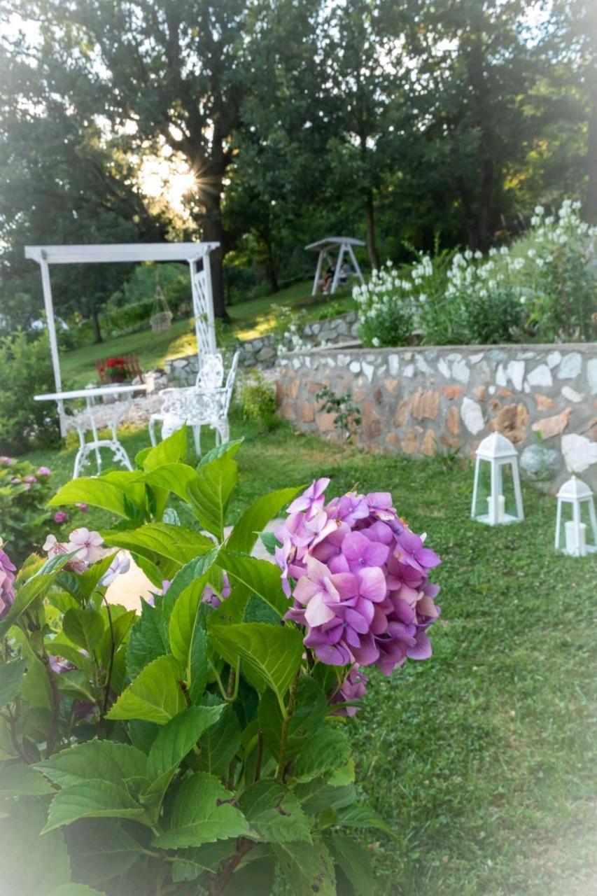 Pensiunea Casa Mircea & Restaurant เอเชลนิทซา ภายนอก รูปภาพ
