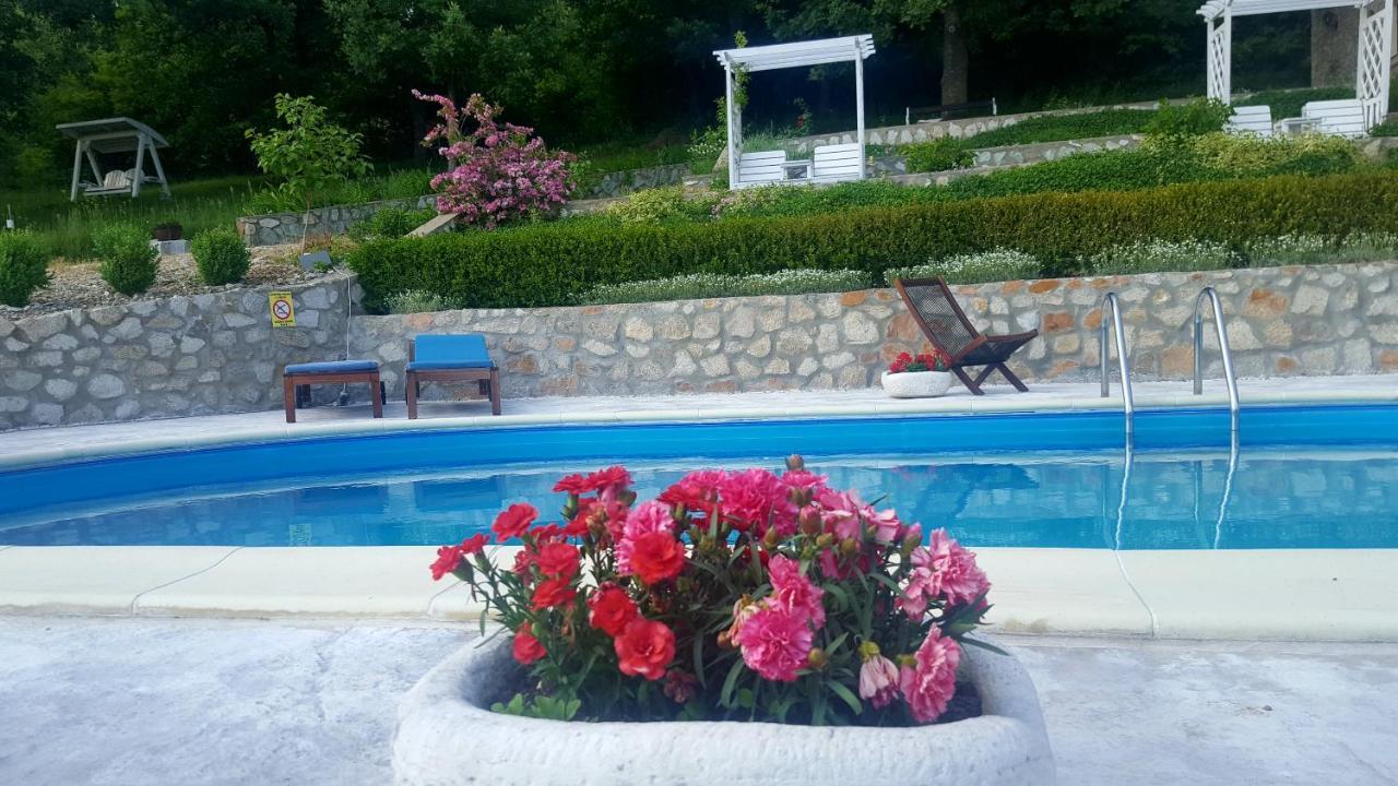 Pensiunea Casa Mircea & Restaurant เอเชลนิทซา ภายนอก รูปภาพ